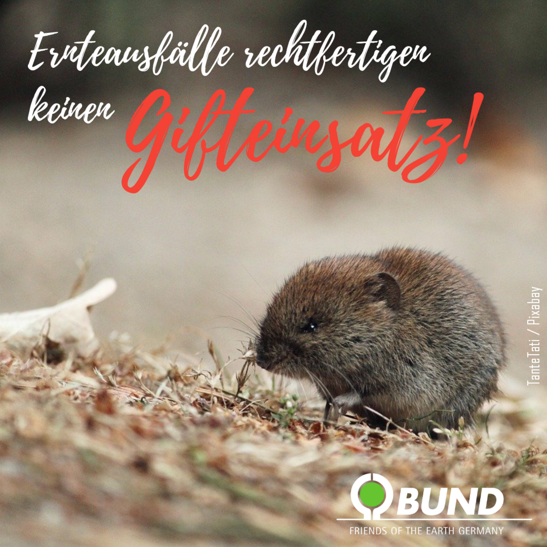 Sharepic "Ernteausfälle rechtfertigen keinen Gifteinsatz"