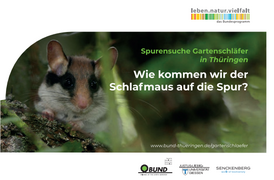 Titelseite Methodenheft "Spurensuche Gartenschläfer - Wie kommen wir der Schlafmaus auf die Spur?"
