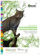 Praxisbericht: Wildtierkorridore & Waldaufwertung