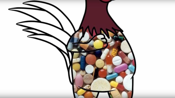 Antibiotikaeinsatz in der Massentierhaltung