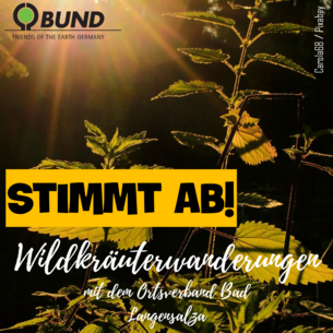 Sharepic zur Abstimmung Projekt "Wildkräuterwanderungen mit dem Ortsverband Bad Langensalza"
