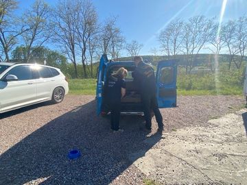 Storchen-Nachwuchs in Gefahr