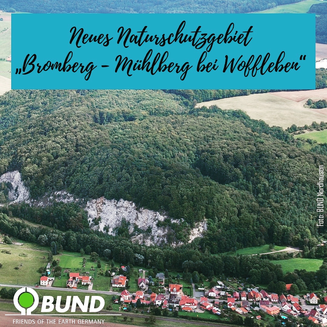 Naturschutzgebiet Himmelberg mit Gipsabbau im Bromberg