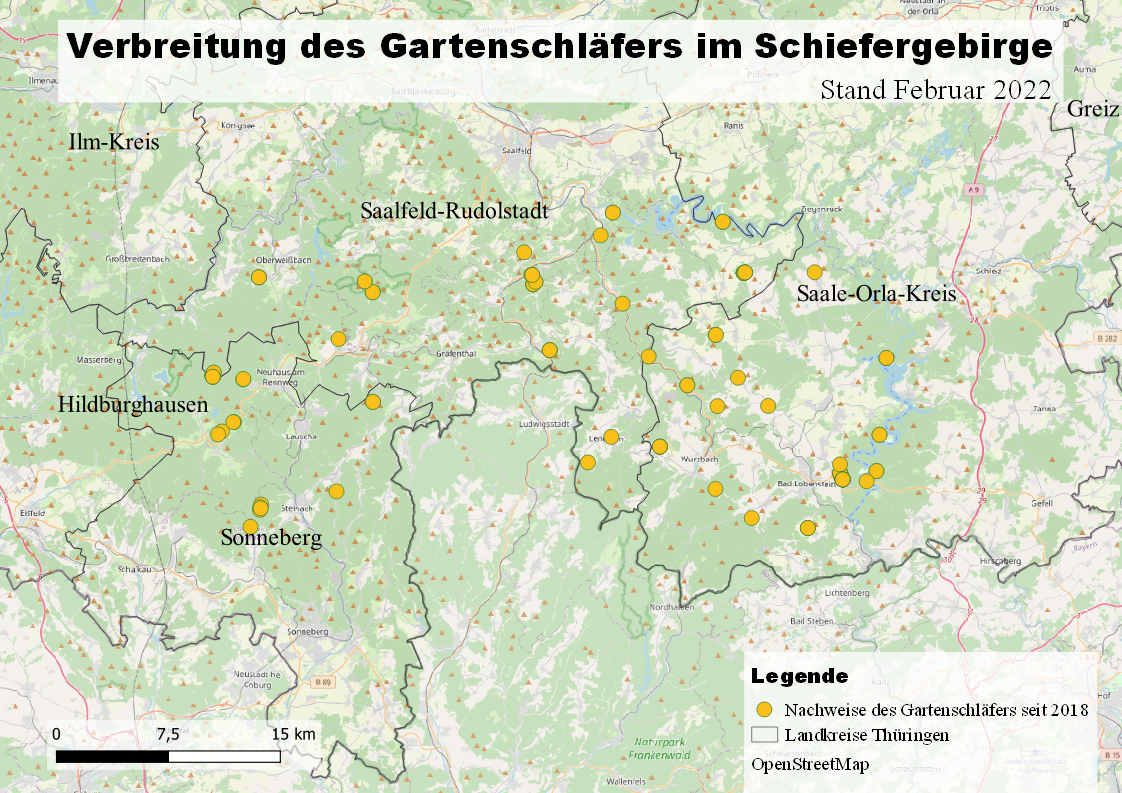 Verbreitung des Gartenschläfers im Schiefergebirge Stand 2022