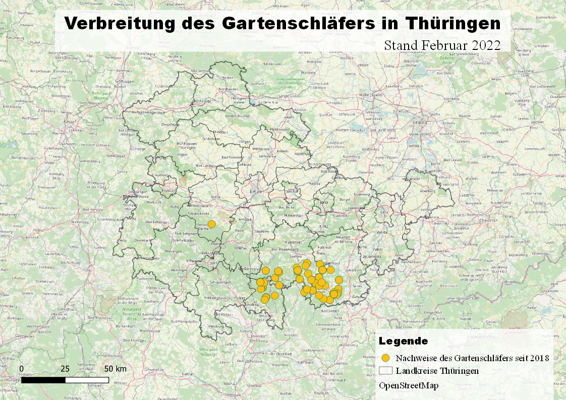 Verbreitung des Gartenschläfers in Thüringen Stand 2022