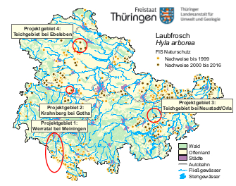 1.	Projektgebiete und Gesamtnachweise des Laubfrosches in Thüringen 1952 -2016 